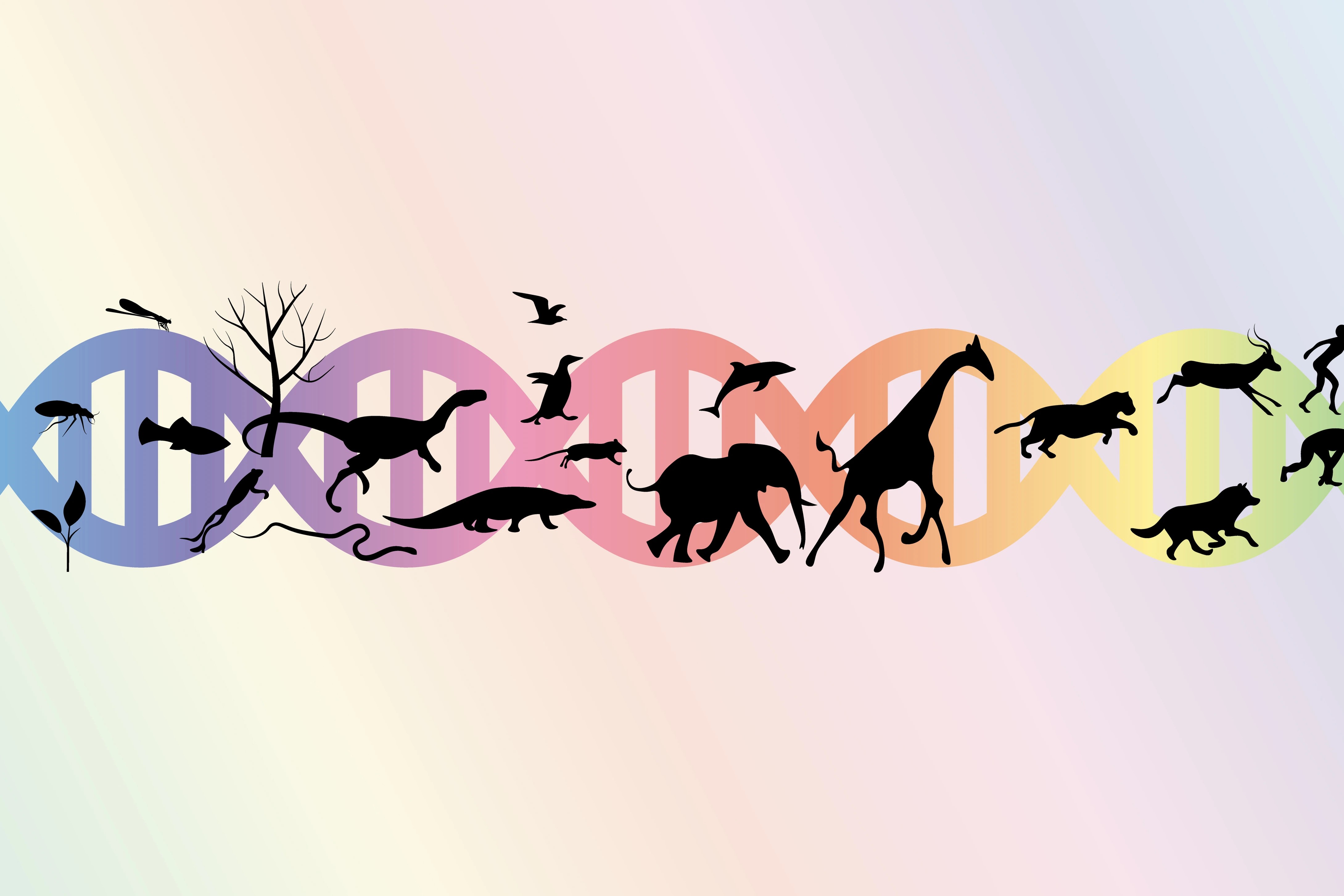 Christadelphian Perspectives on Evolution